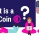 What is a DFI Coin
